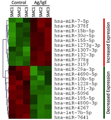 miR-155 Is a Positive Regulator of FcεRI-Induced Cyclooxygenase-2 Expression and Cytokine Production in Mast Cells